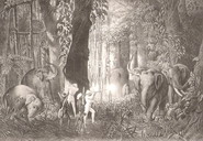 ilustrácia Emanuela Andrássyho (polovacka na slony)